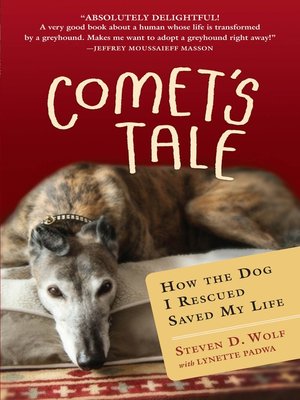 cover image of Comet's Tale